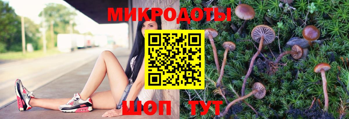 Ирбит  Галлюциногенные грибы мицелий  Псилоцибиновые грибы мицелий  Вход с VPN 